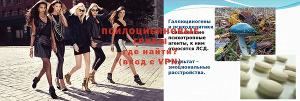 амф Ладушкин