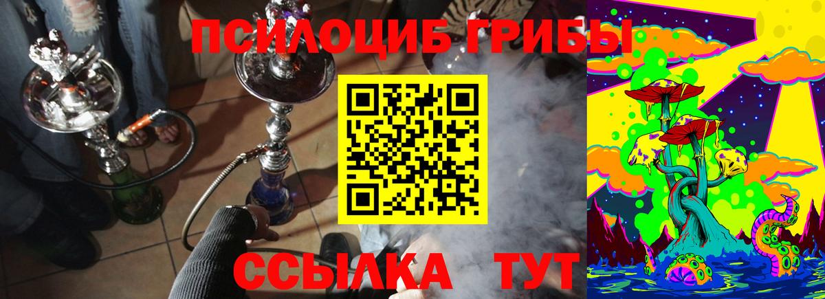 Галлюциногенные грибы Psilocybine cubensis Фурманов